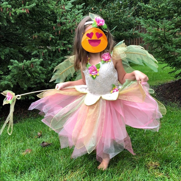 Fairy Costume Fairy Costume